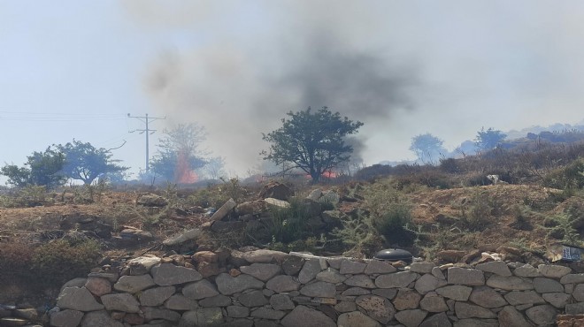 Bodrum'da alevler 20 dönüm makiliği küle çevirdi